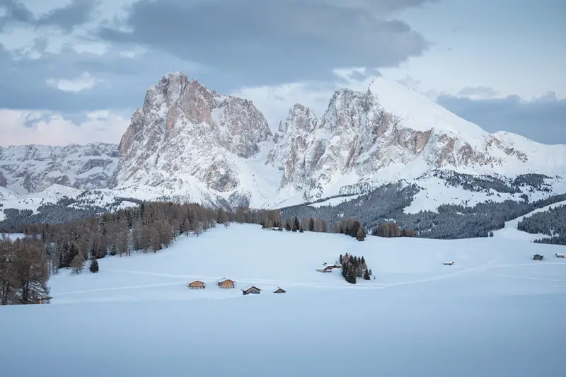 alpe di siusi tour winter experience