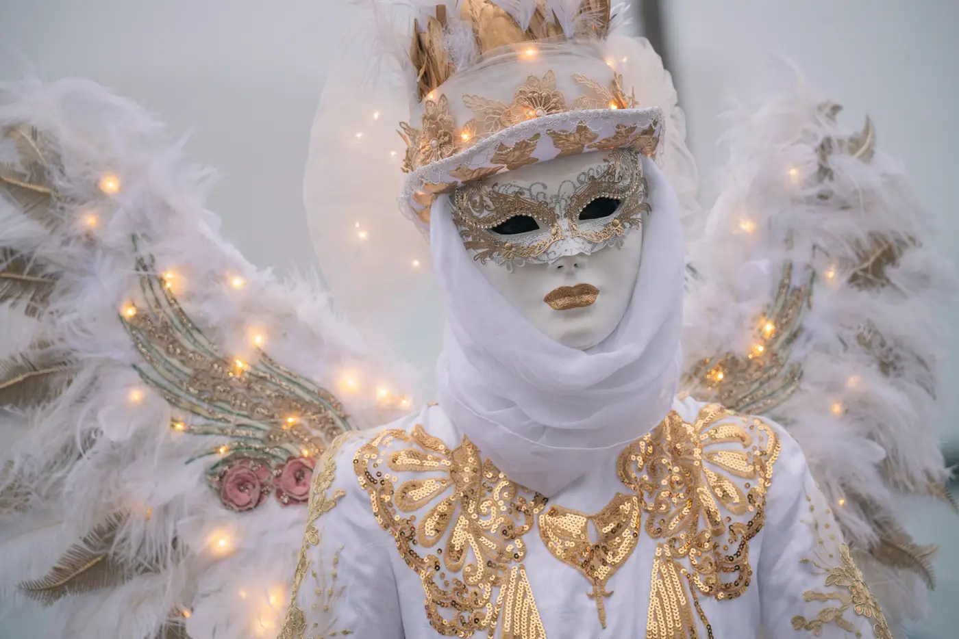 Traditional Venice Carnival costume with ornate mask and feathered headdress.