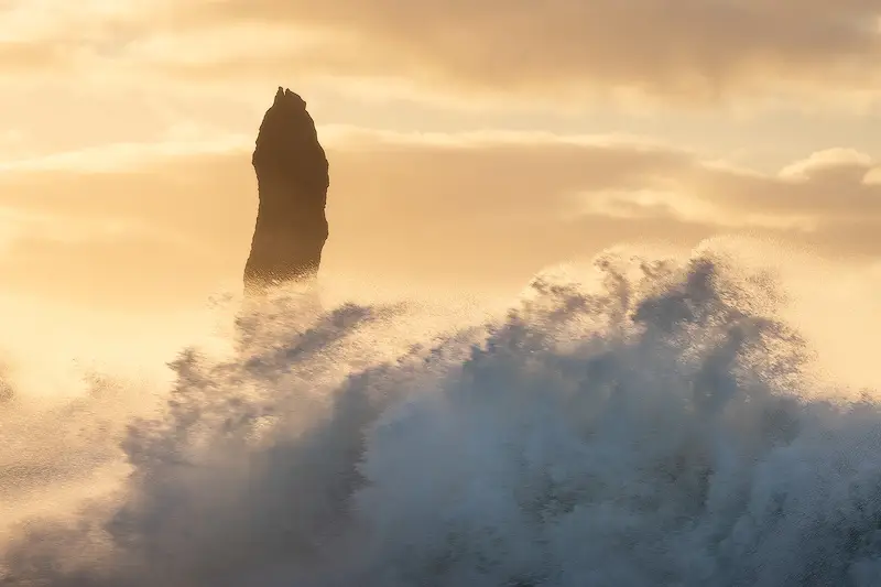 Powerful Atlantic wave crashing in front of a Reynisdrangar sea stack in golden light at Reynisfjara Beach, Iceland