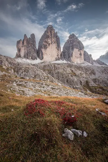 Tre Cime di Lavaredo in autumn with red alpine vegetation in the foreground and dramatic clouds above the limestone peaks